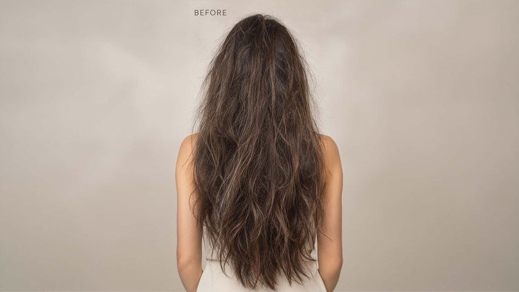 'BEFORE' shot from behind of long dry, frizzy brown hair against a pale backdrop